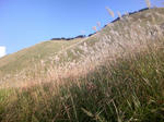 081030_145714.jpg