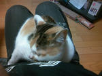 081119_205804.jpg
