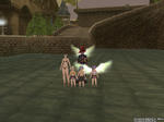 bi_20070711010257.jpg