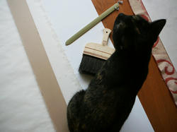 どいて