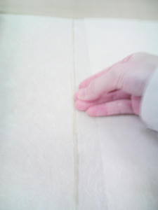 8602.JPG