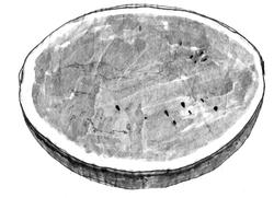 10054.JPG
