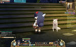 cat.jpg