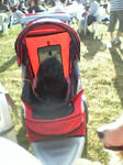 DVC00026.JPG