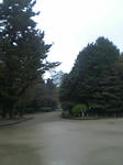 DVC00031.JPG