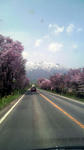 P1000054.JPG