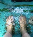 P1000060.JPG