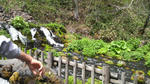 P1000067.JPG