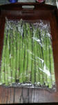P1000068.JPG