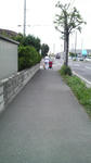 P1000061.JPG