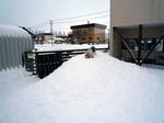 vivi1-14-1.jpg