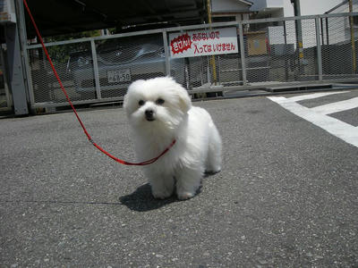 DSCN3052.JPG