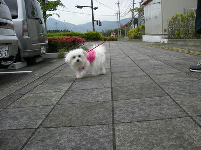 DSCN3084.JPG