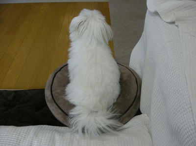 DSCN3094.JPG