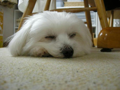 DSCN3127.JPG