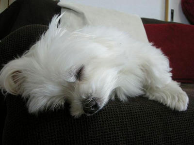 DSCN3145.JPG