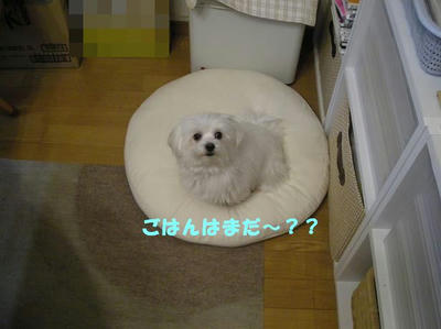 DSCN3133.JPG