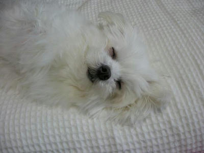 DSCN3157.JPG