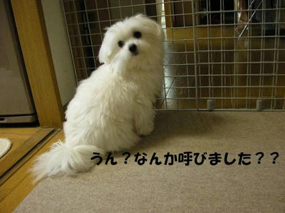 DSCN3160.JPG