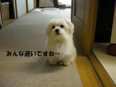 DSCN3165.JPG