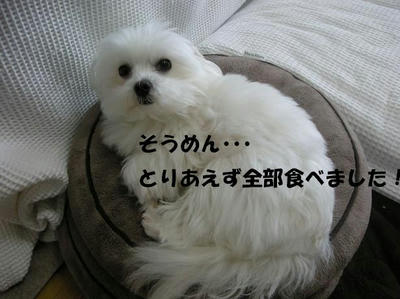 DSCN3105.JPG