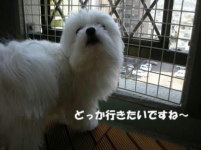 DSCN3180.JPG