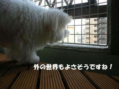 DSCN3184.JPG