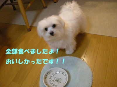 DSCN3225.JPG