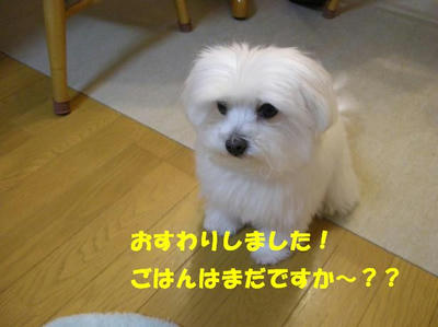 DSCN3228.JPG