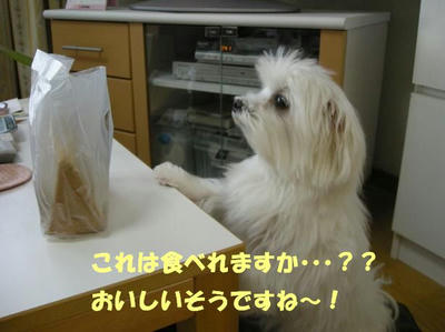 DSCN3289.JPG