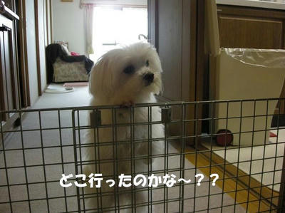 DSCN3305.JPG