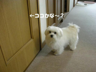 DSCN3306.JPG