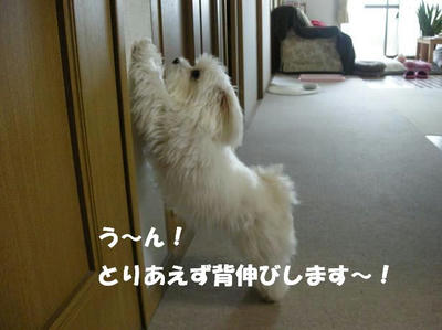 DSCN3311.JPG