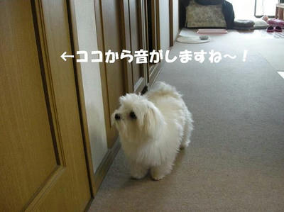 DSCN3312.JPG