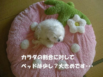 DSCN3331.JPG