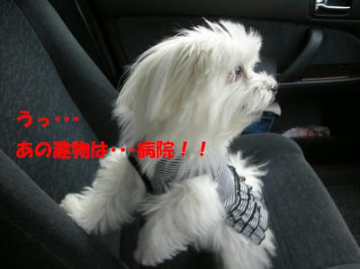 DSCN3360.JPG