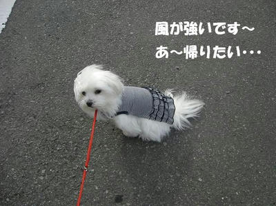 DSCN3388.JPG