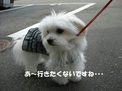 DSCN3389.JPG