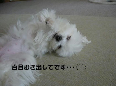 DSCN3270.JPG