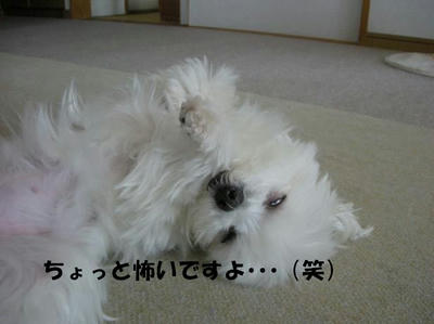 DSCN3276.JPG