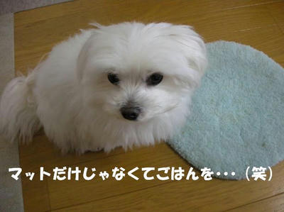 DSCN3236.JPG