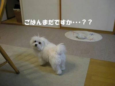 DSCN3297.JPG