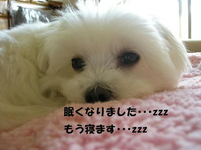 DSCN3344.jpg