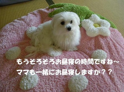 DSCN3333.JPG