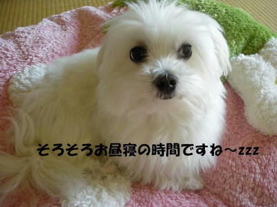 DSCN3335.JPG