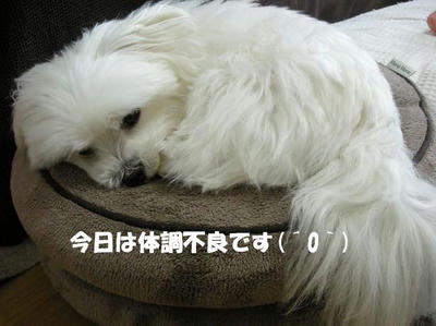 DSCN3574.JPG