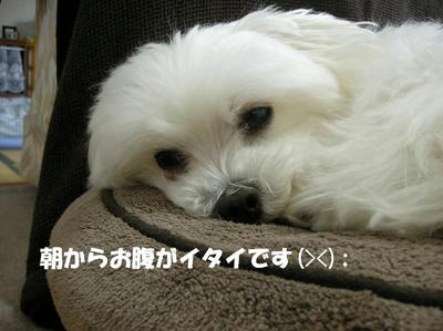 DSCN3577.JPG