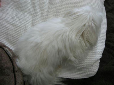 DSCN3582.JPG
