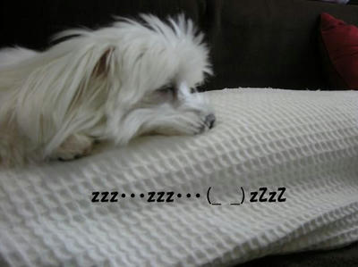 DSCN3590.JPG
