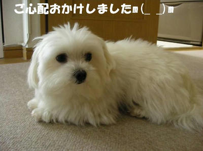 DSCN3495.JPG